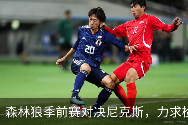 森林狼季前赛对决尼克斯，力求检验阵容深度